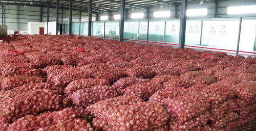 Smart Warehouse Crane for workshop