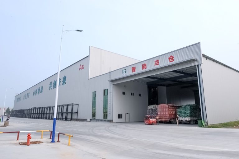 Smart Warehouse Crane Manufactured by Henan Mine