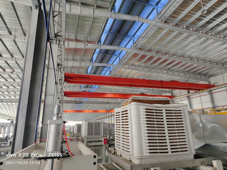 Double Girder Overhead Crane