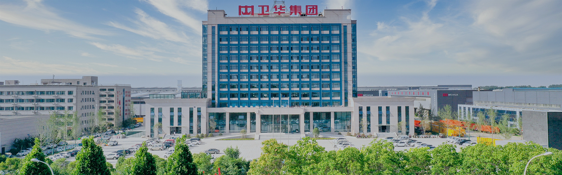 Henan Mine Crane VS Weihua Crane